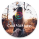 cool vidstatus - video status app wp status saver android application logo